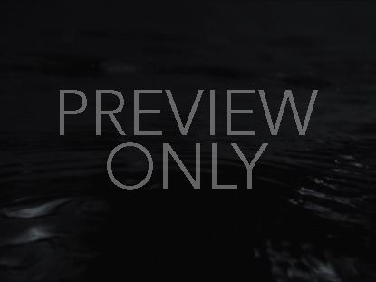 Black And White Kraken