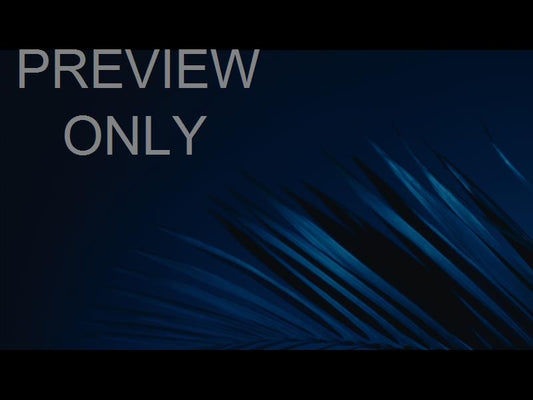 Cinematic Palms Still 12