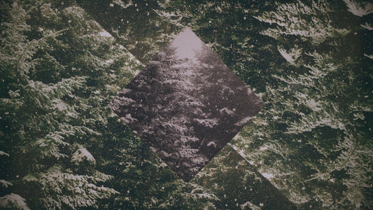 Christmas Forest 03