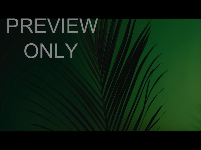 Cinematic Palms Still 20