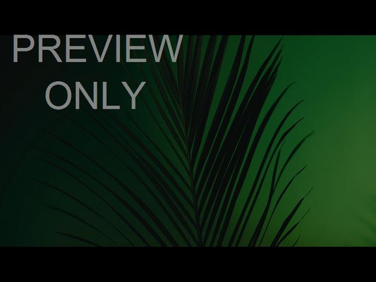 Cinematic Palms Still 20