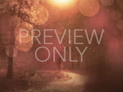 Fall Background 1 Still Vol 4