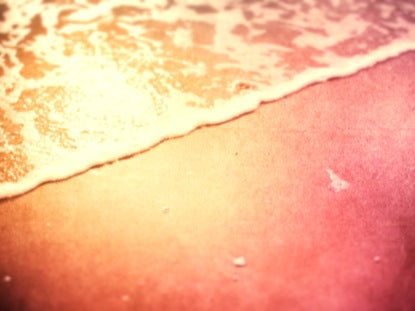 Sunlit Shore