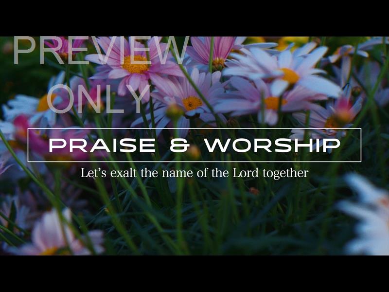 Springs Embrace Praise And Worship Still