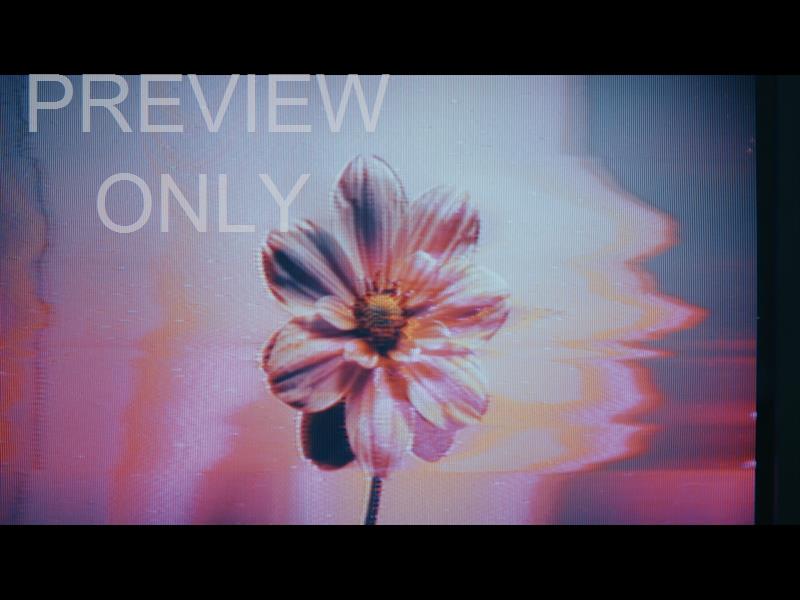Crt Flowers 11 Still