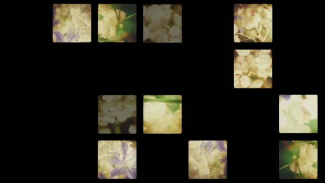 Bloom Again 07