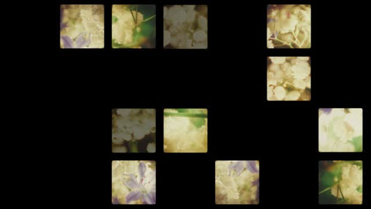 Bloom Again 07
