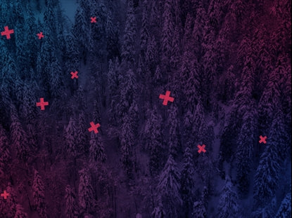 Dense Snowy Forest