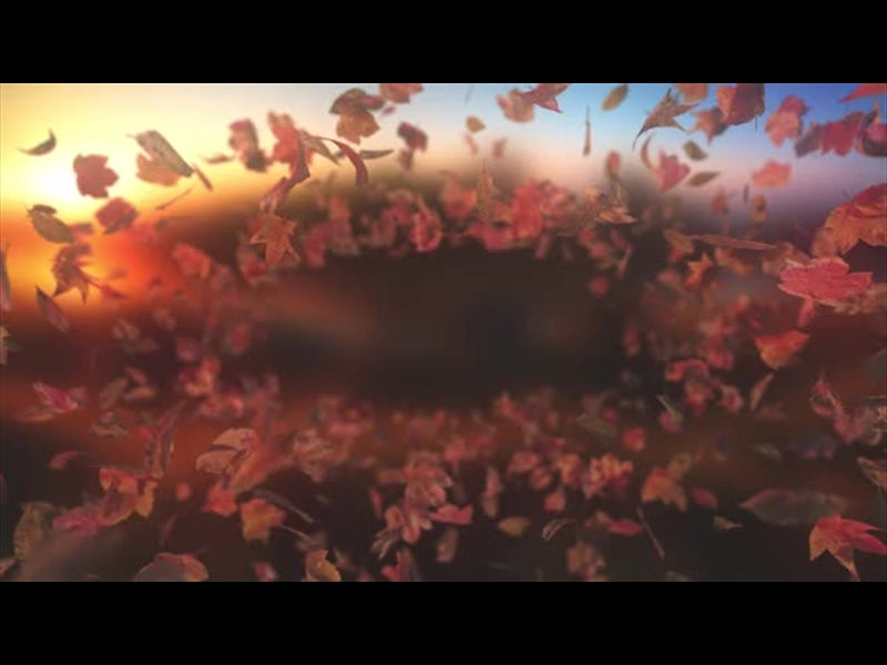 Harvest Leaves Tunnel 01