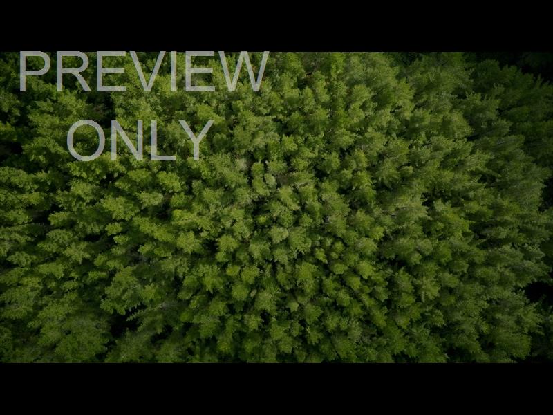 Aerial Bliss 6 Still