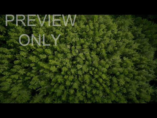 Aerial Bliss 6 Still