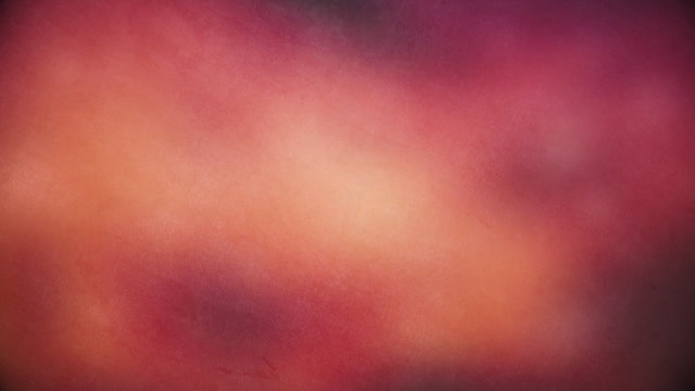 Summer Textures 4