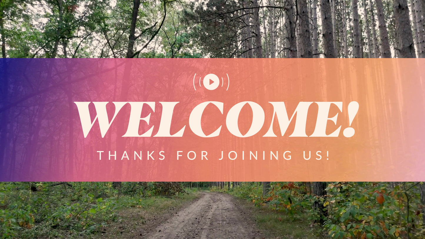 The Forest Welcome Stream