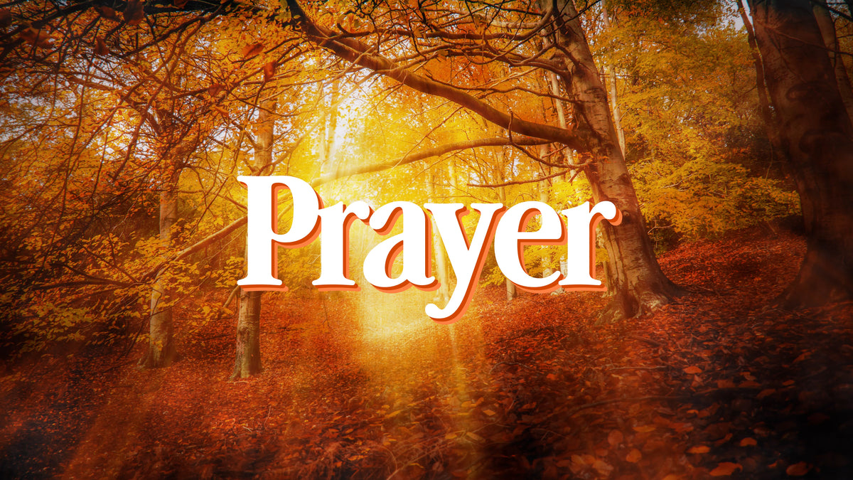 Thanksgiving Light Prayer