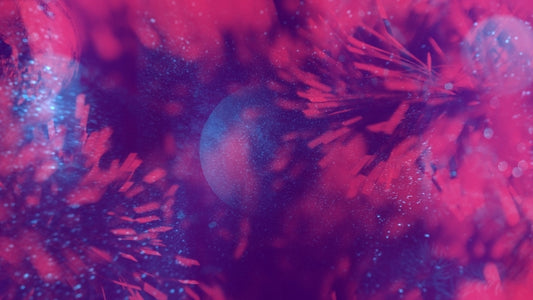 Christmas Reflections 06