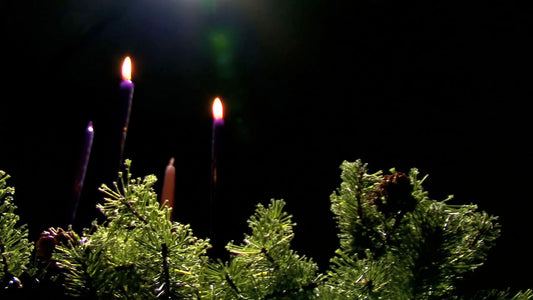 Advent Week 2