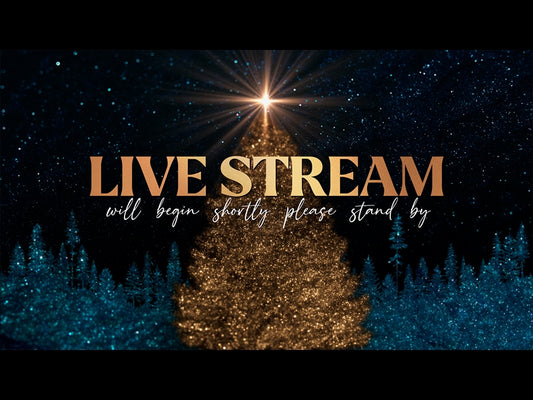 Sparkling Christmas Live Stream
