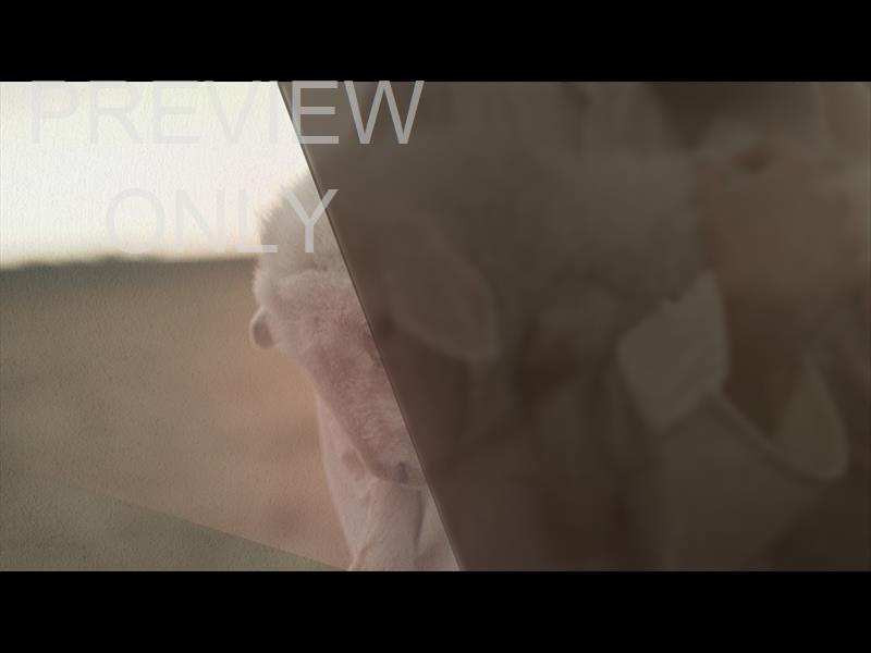 The Beautiful Empty: Lamb Still