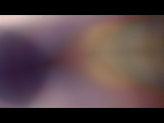 Never Alone Loop 05