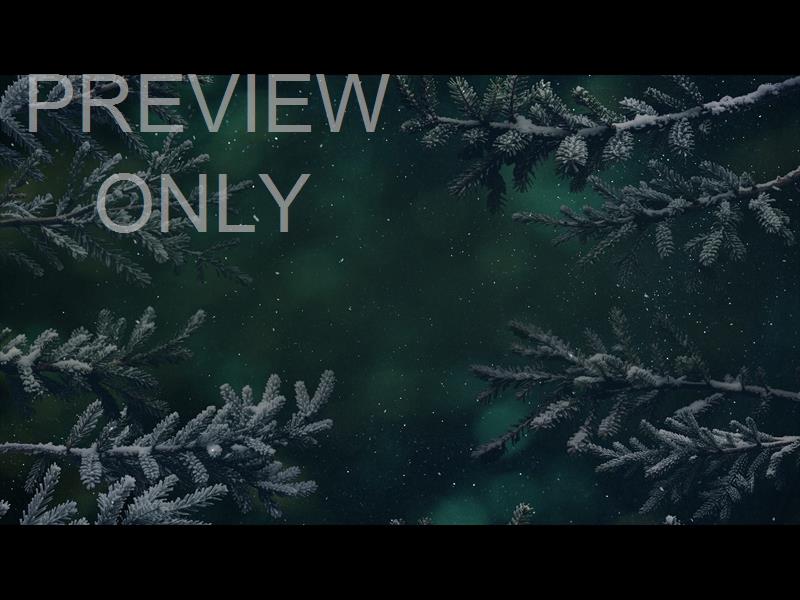 Christmas Wintertide 5 Still