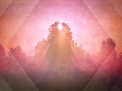 Spring Morning Red Motion