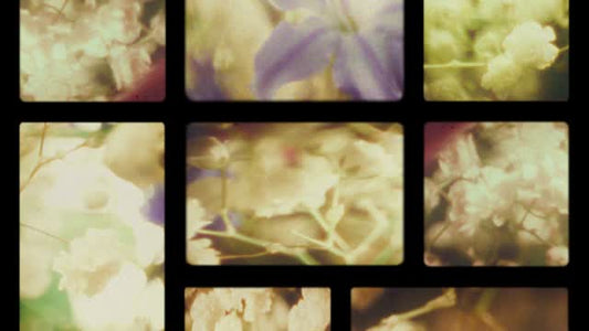 Bloom Again 05