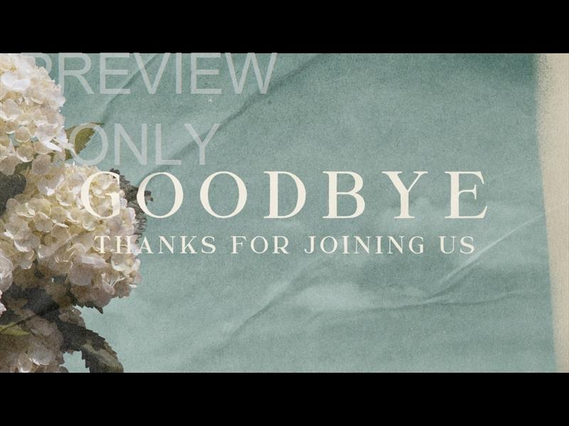 Hydrangea Goodbye Still