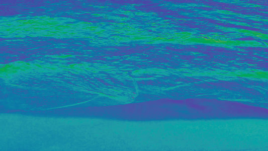 Electric Sunset 11 Alt