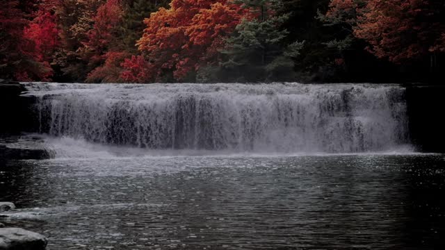 Blue Ridge Waterfalls 21