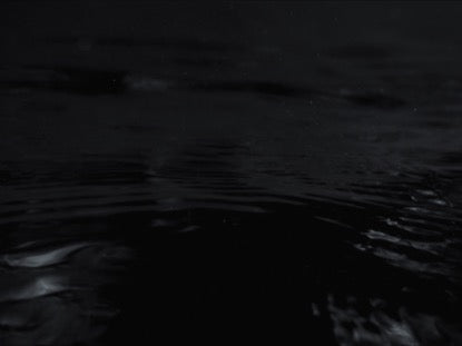 Black And White Kraken