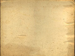 Paper Texture 2