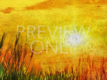 Golden Sun Blank Still