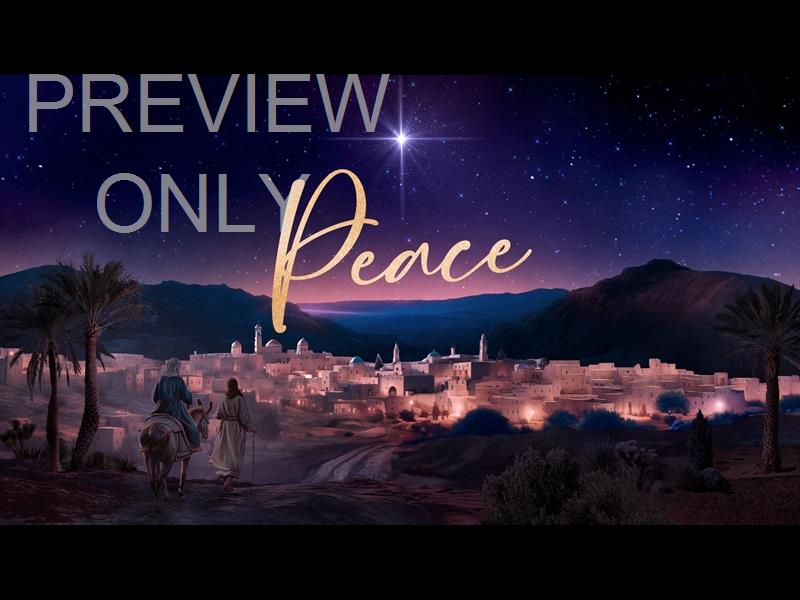 Christmas Journey Peace Still