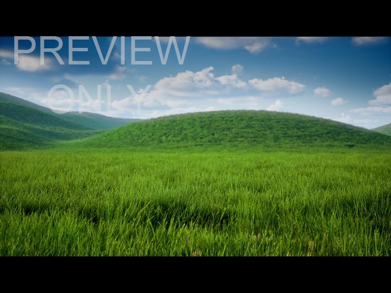 Prairie Grass Hill Still