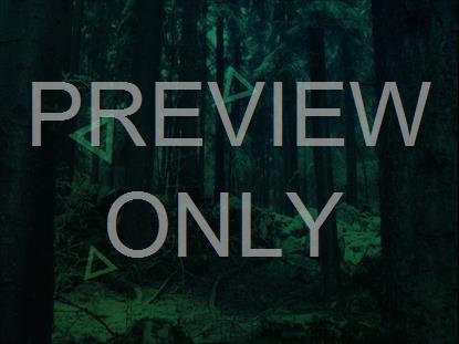 Dark Green Forest