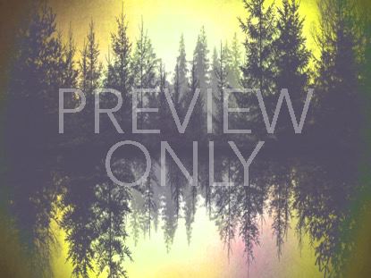 Natures Beauty 6 Still