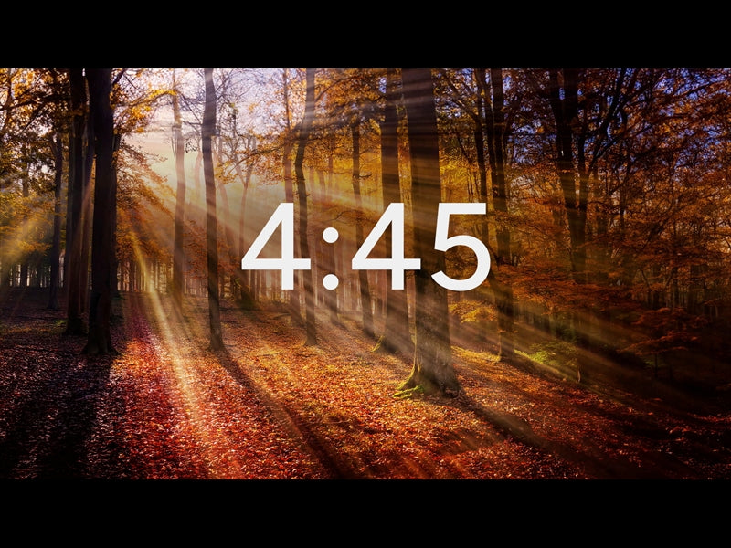 Autumn Light Minimal Countdown