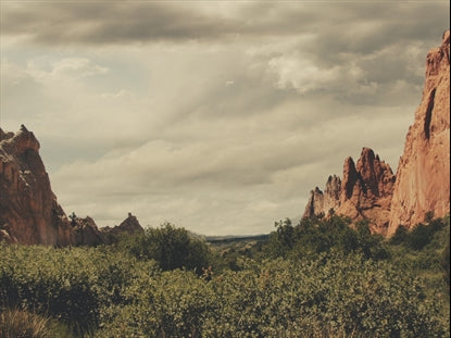 Vistas Rock Garden