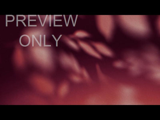 Autumn Again Still 07