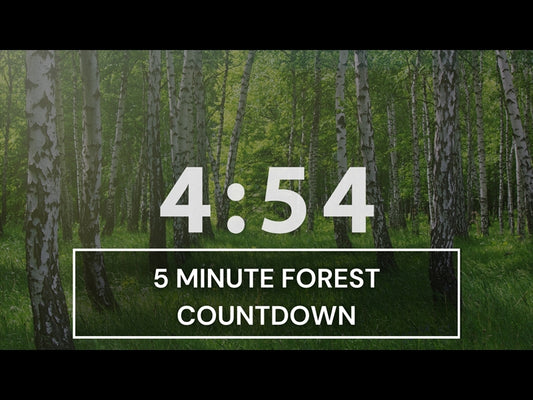 5 Minute Countdown Timer - Peaceful Forest