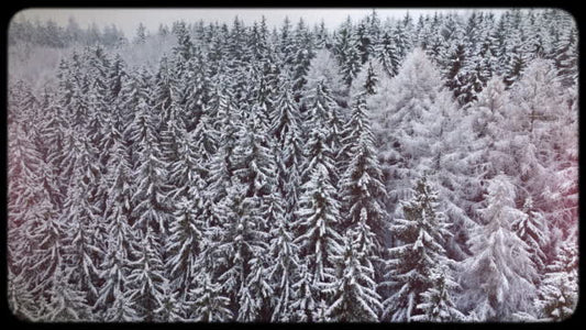 Retro Winter 05