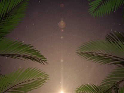 Palm Sunday Jerusalem Scrolling