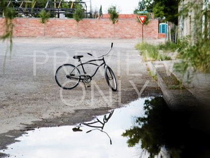 Bike Reflection