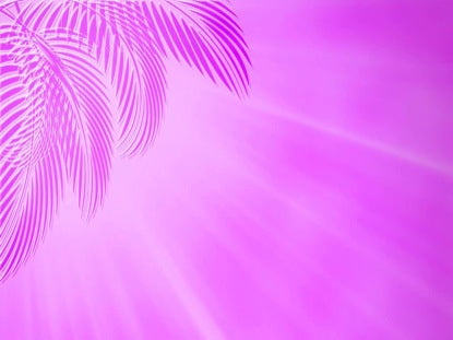 Palms Purple