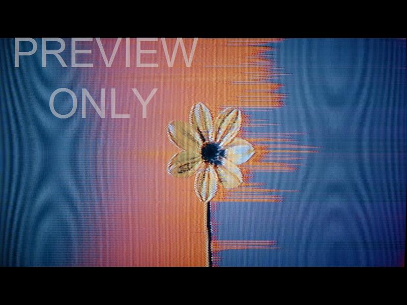Crt Flowers 3 Still