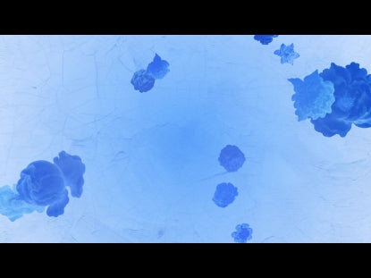 Who You Say I Am Loop 15