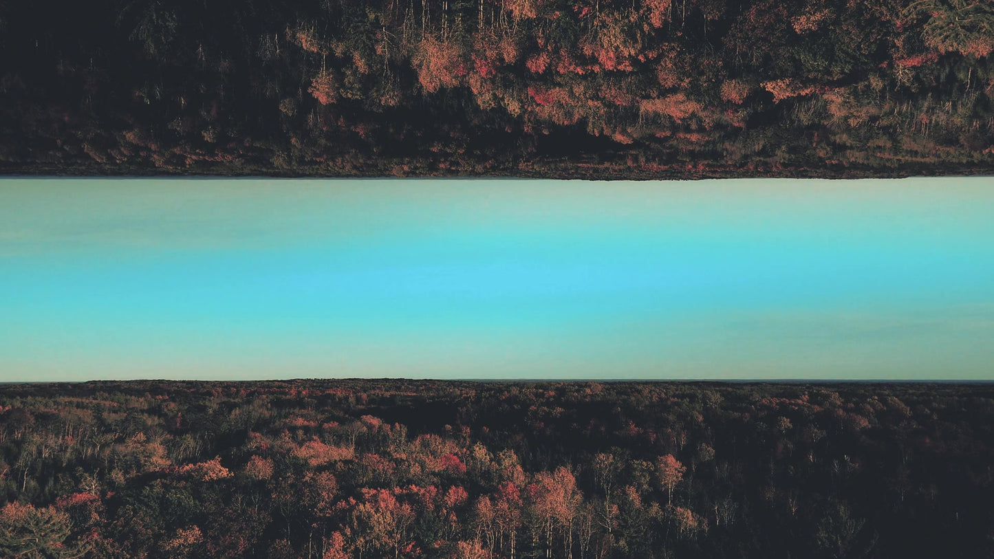 Fall Foliage Remixed 10 Motion