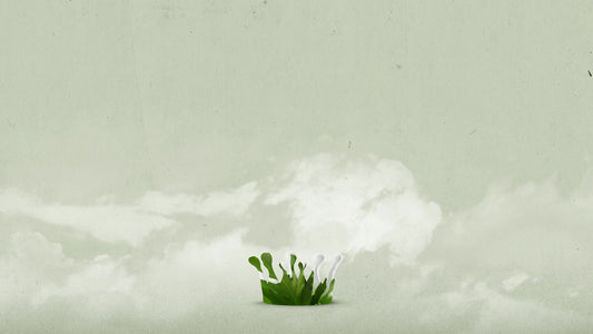 Crowned Green Crown Still