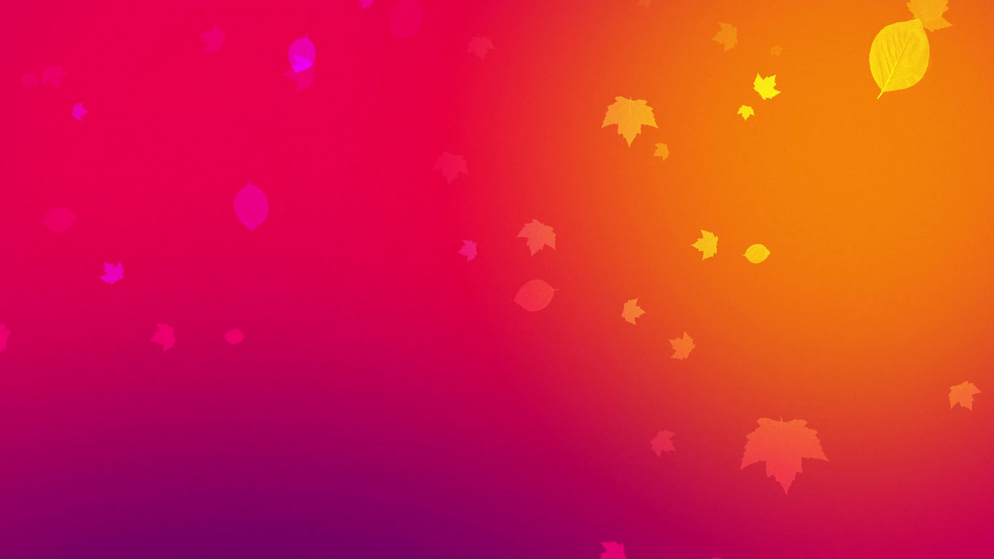 Vibrant Fall 2