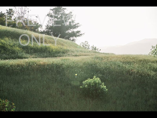 Grassy Hill